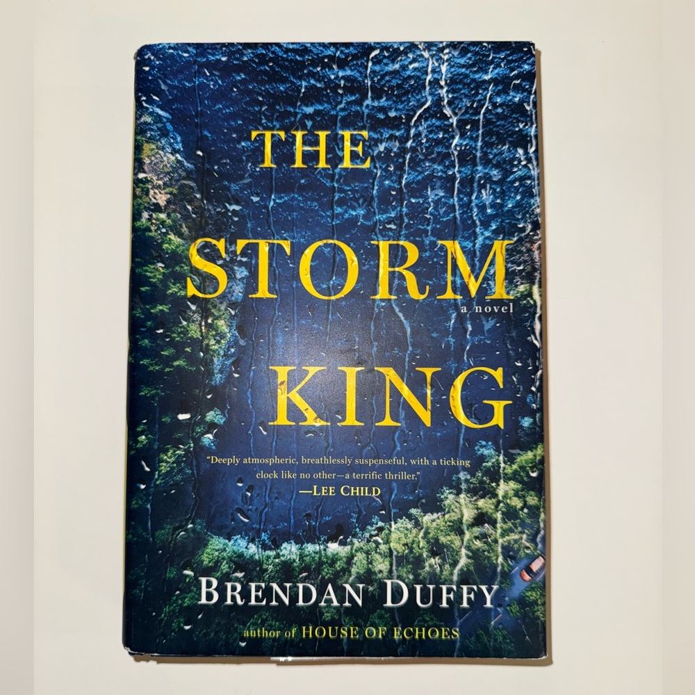 The Storm King a Novel by Brendan Duffy Hardcover Book NEW